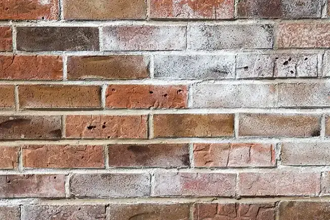 Salty efflorescence deposits on exterior building brickwork.