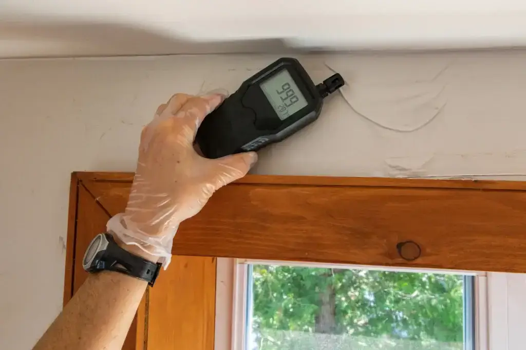Damp survey being carried out with a moisture meter measuring a wall with bubbling paint.