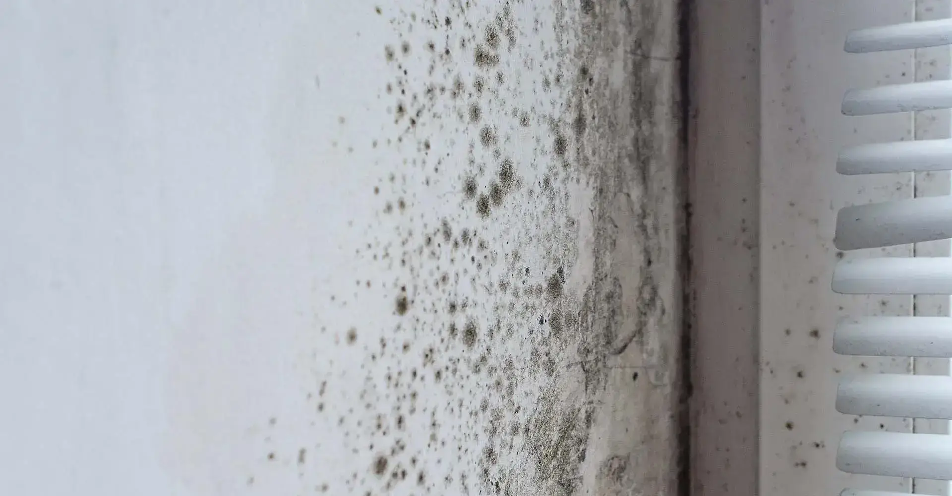 Mould near a window