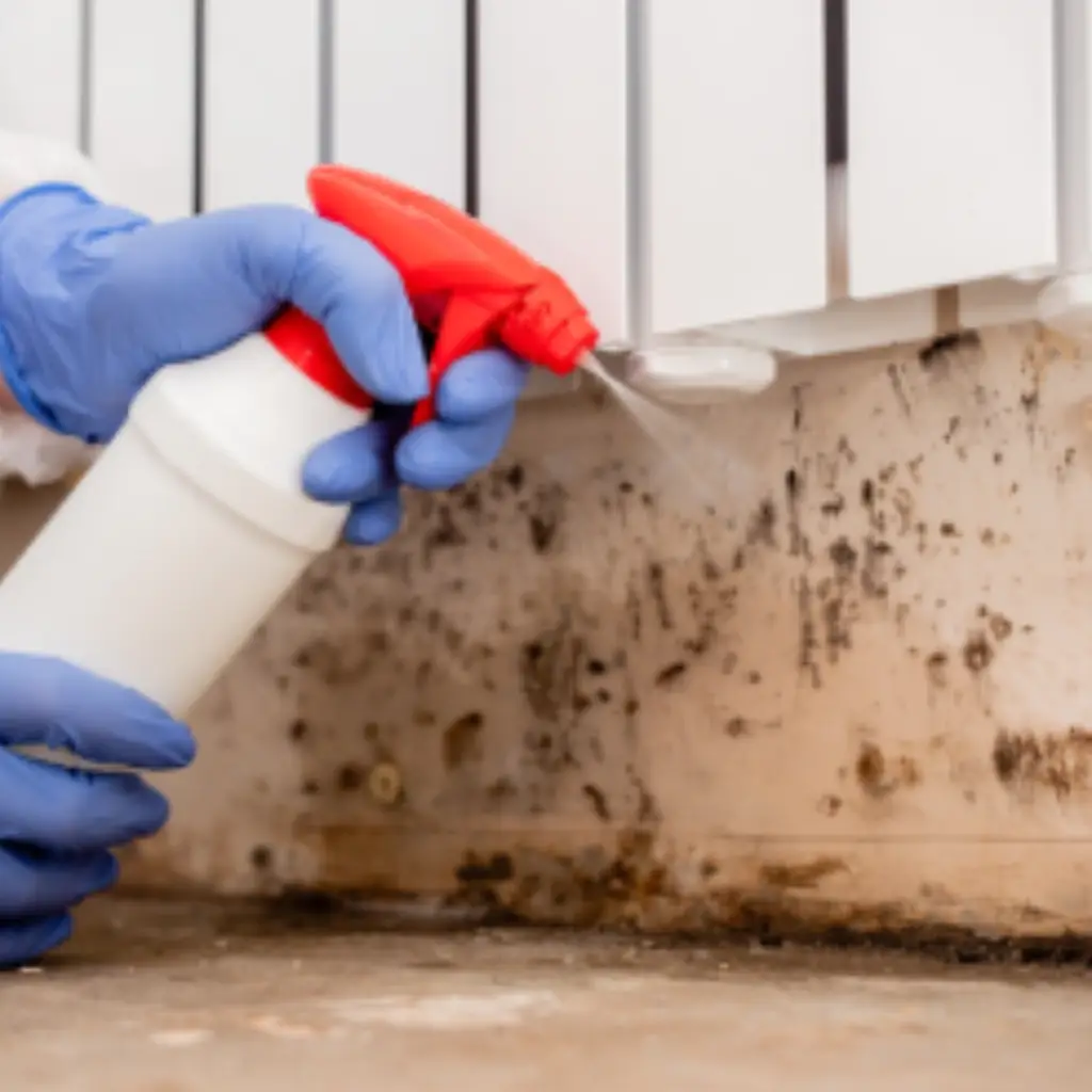 Close up of person spraying mould.