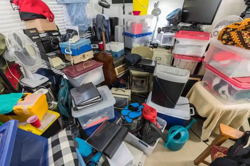 Hoard stacked floor to ceiling.