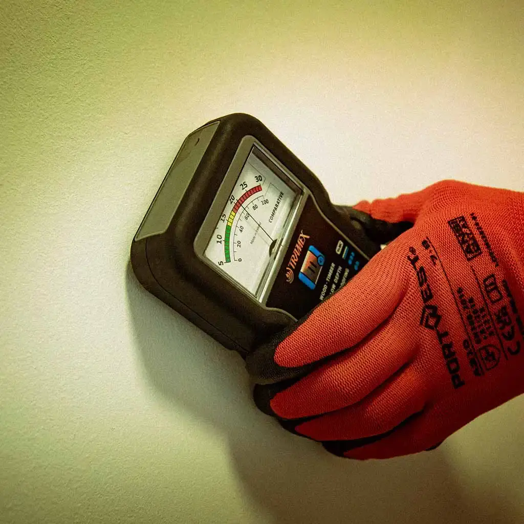 Tramex damp meter.