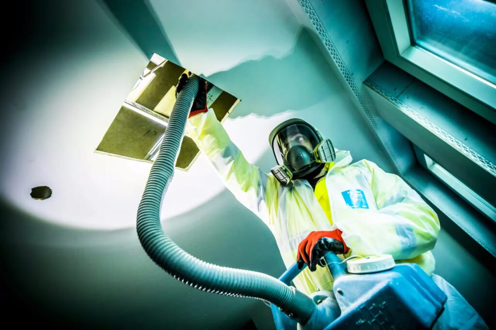 Technician carrying out after builders cleaning service, removing dust from a ceiling cavity.