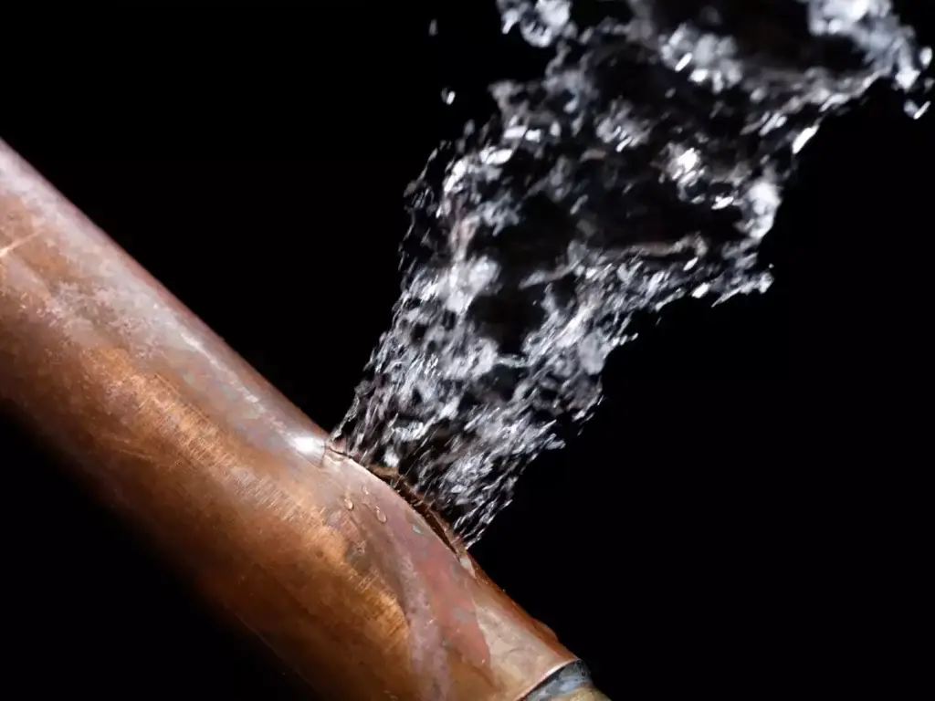 Water leak detection: What is it and how much does it cost?