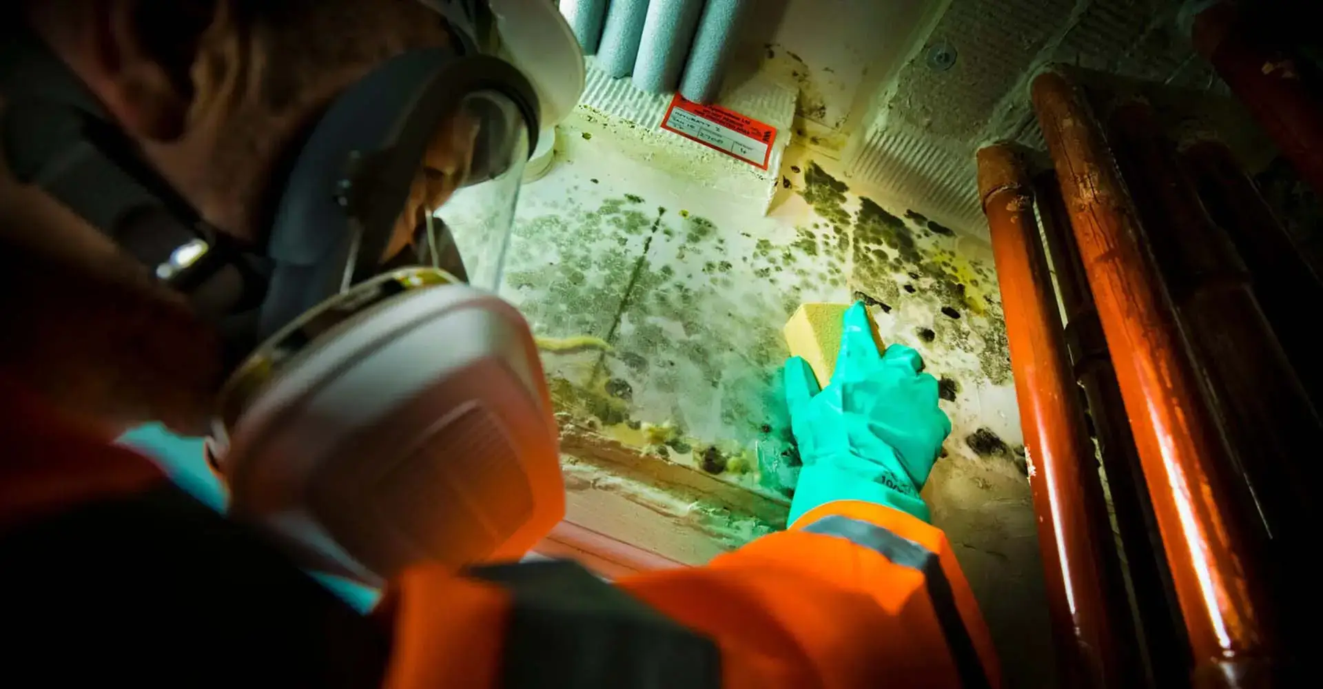 Is a professional mould removal service worth the cost?
