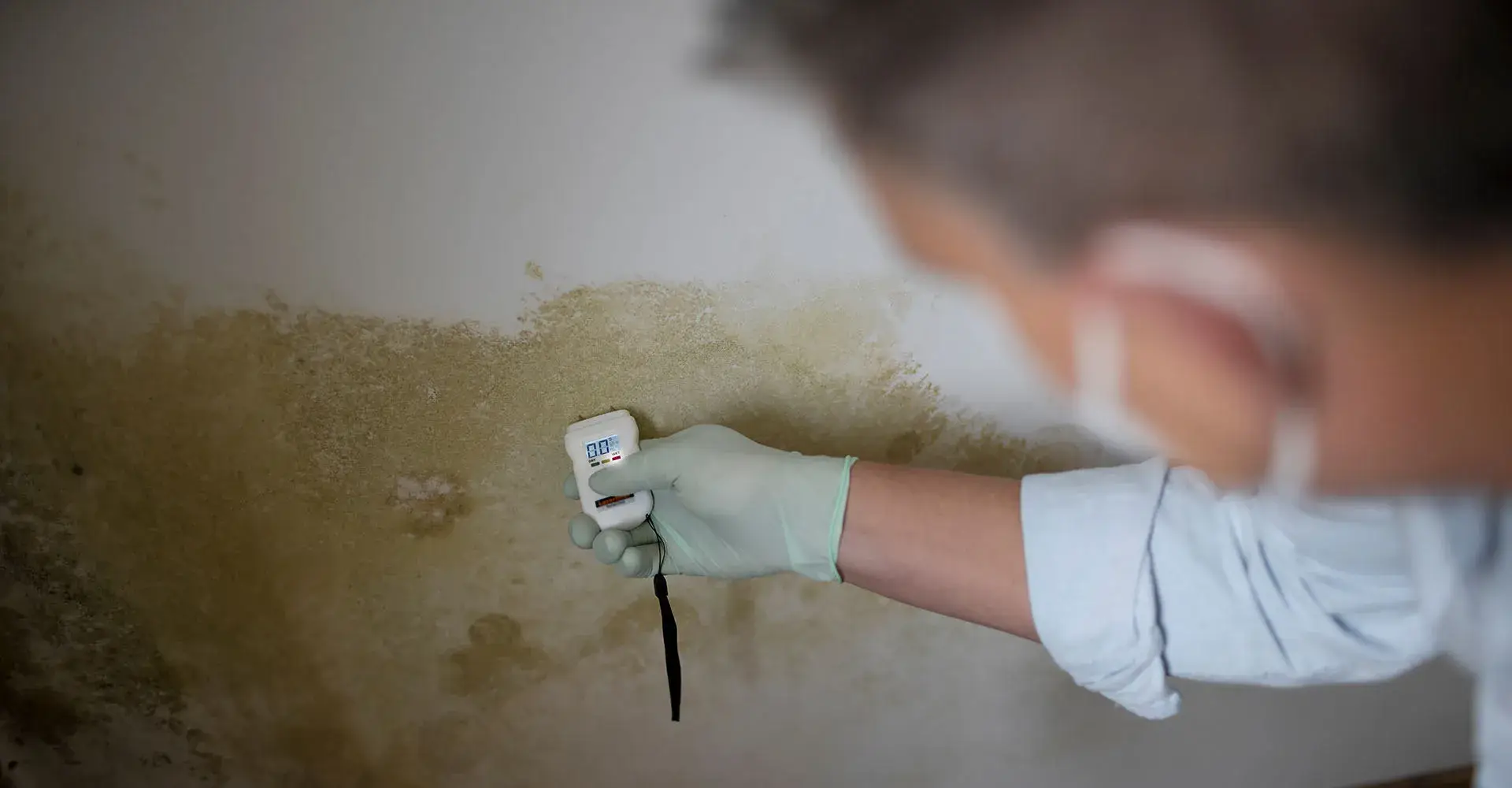 Dampness Surveyors: Your guide to a healthy property