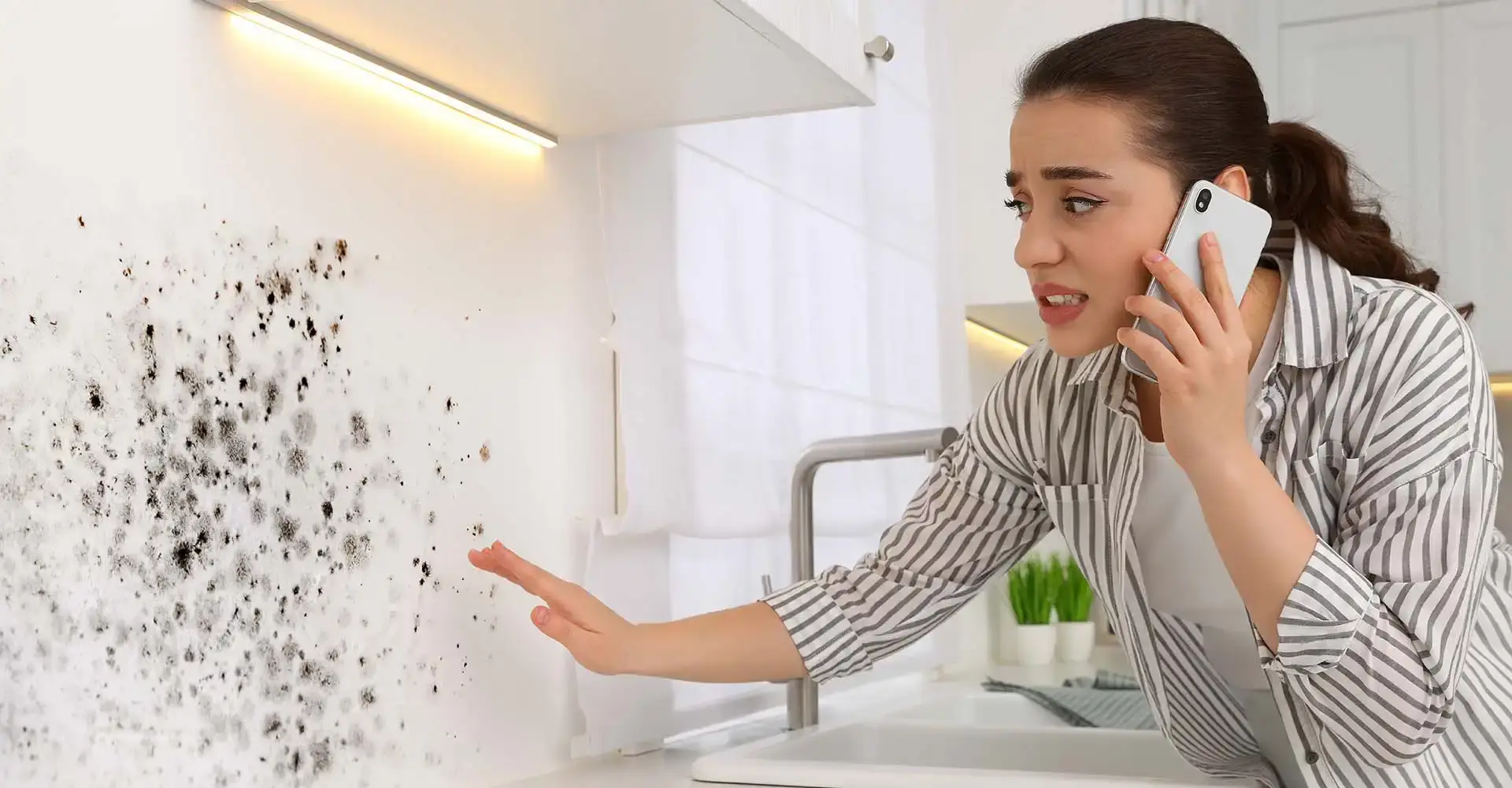 UK Homeowners guide to mould identification, health risks & removal