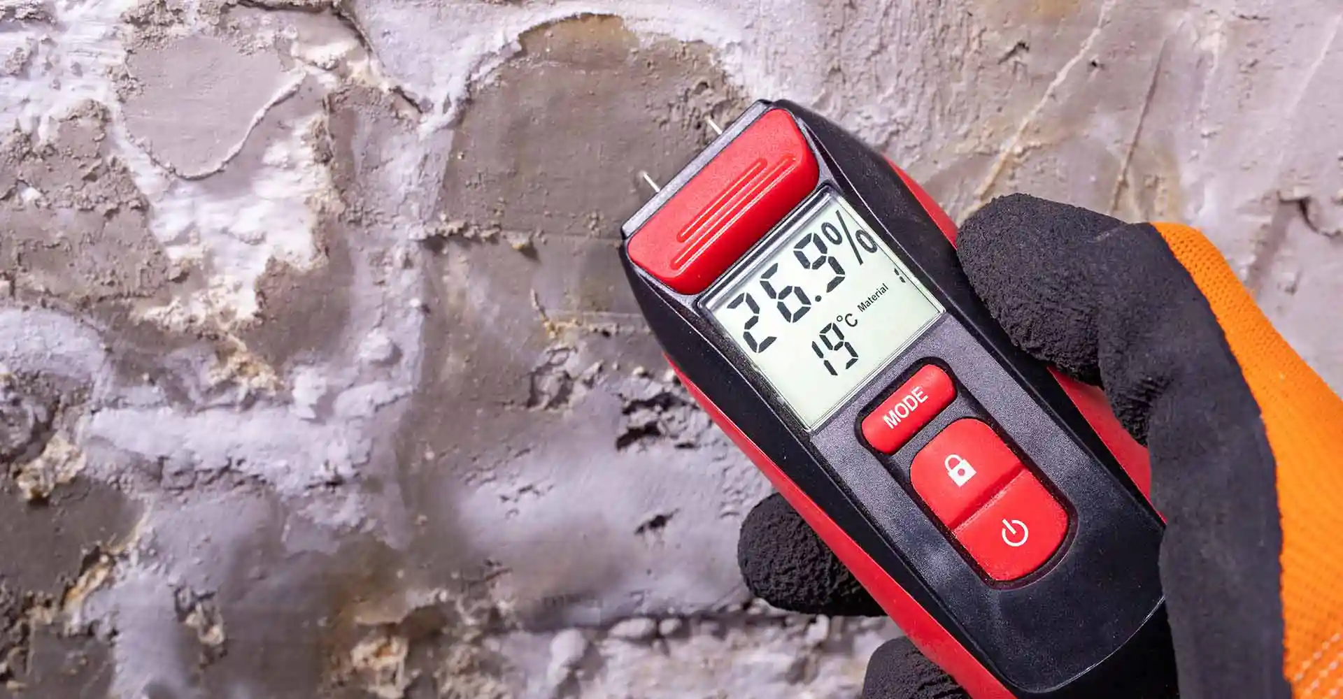 Damp report: Complete UK Guide