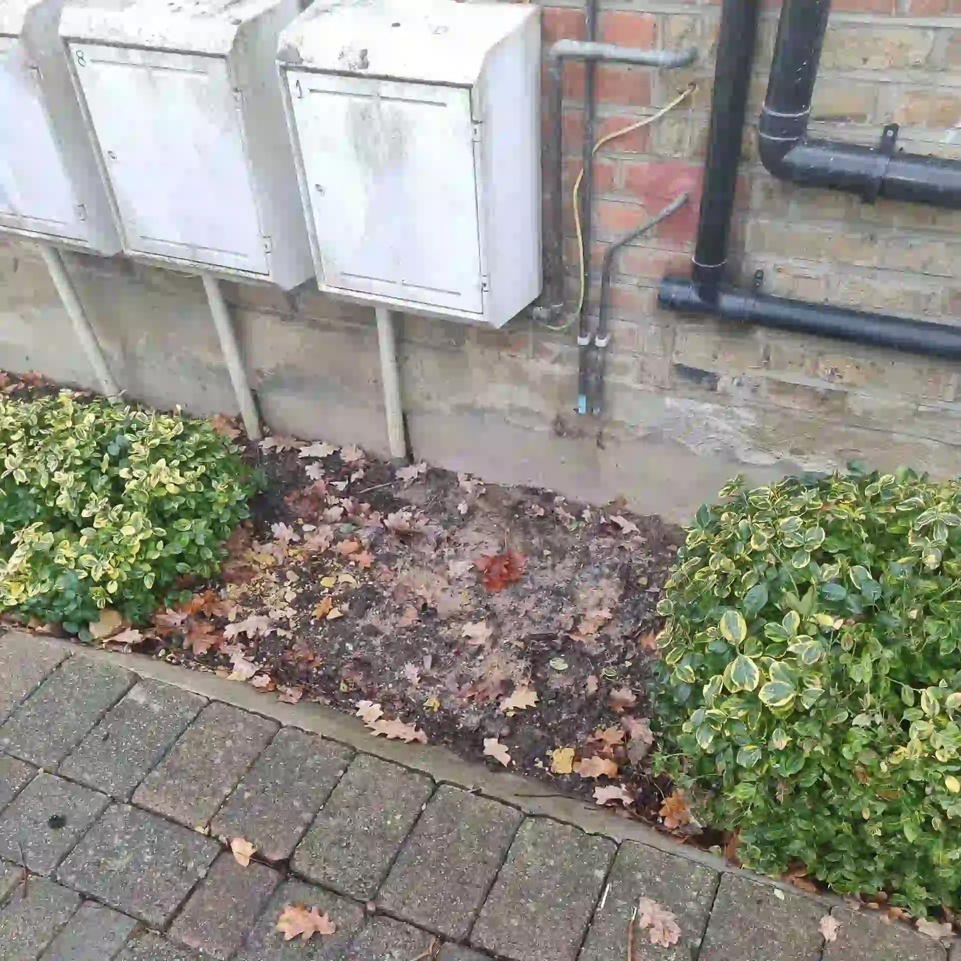 External sewage decontamination for London property manager