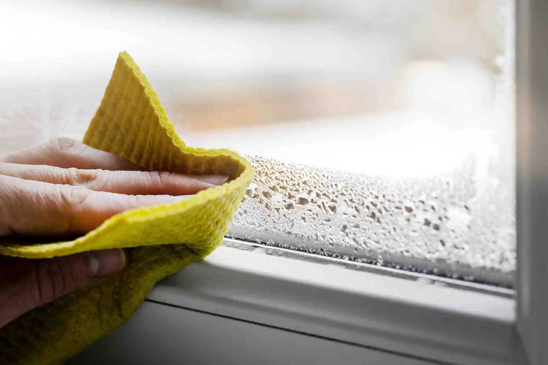 What are common types of damp issues in homes? Complete Guide