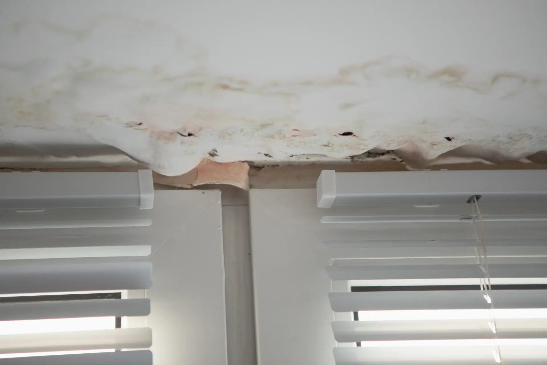 Why is my wall damp inside? The definitive UK guide