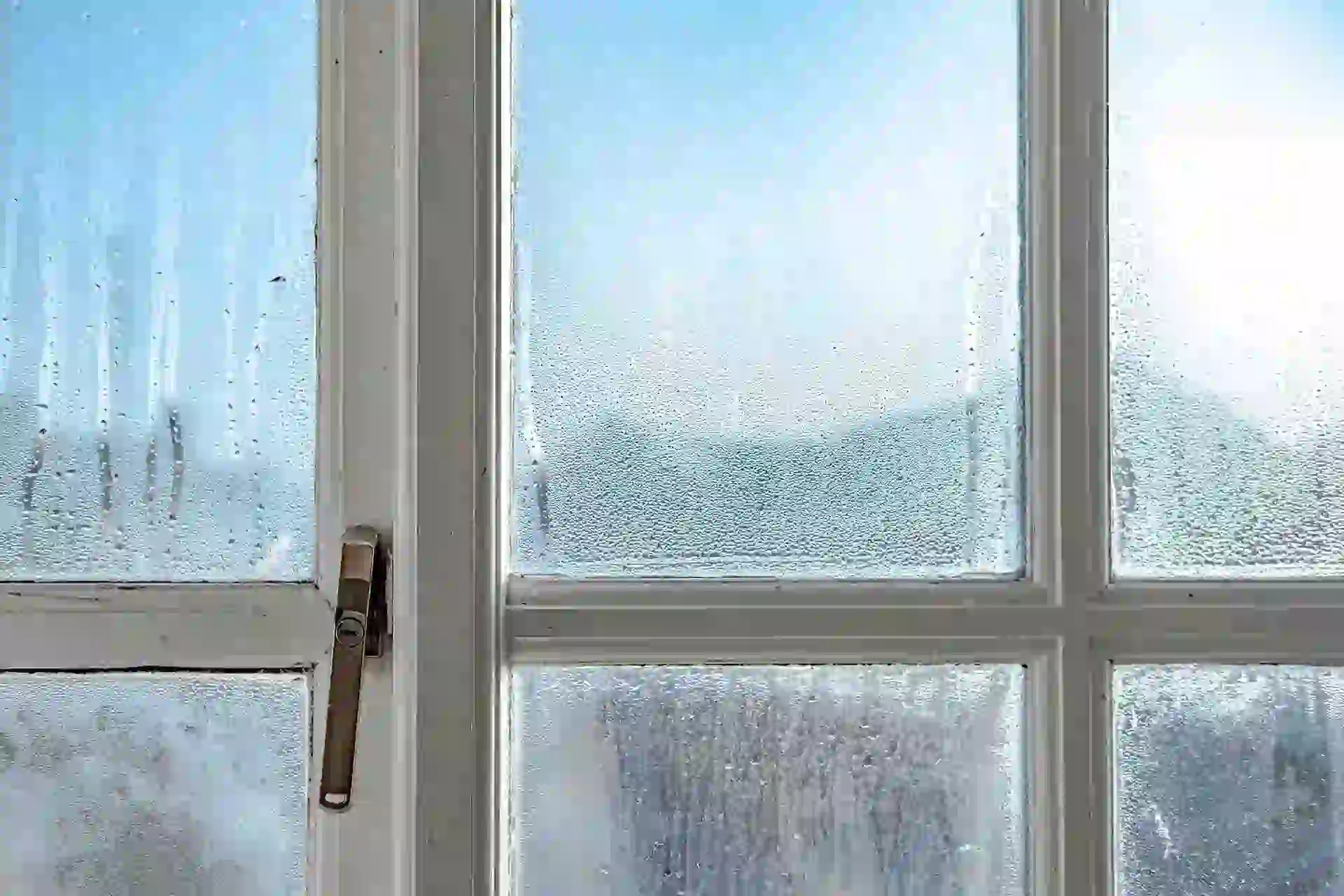 What is condensation? Signs, risks & professional resolution