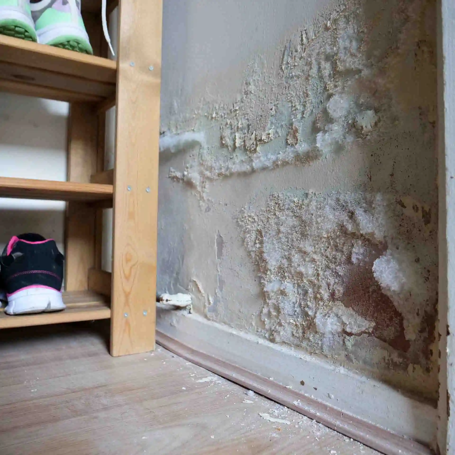 What is rising damp? Signs, causes & definitive solutions