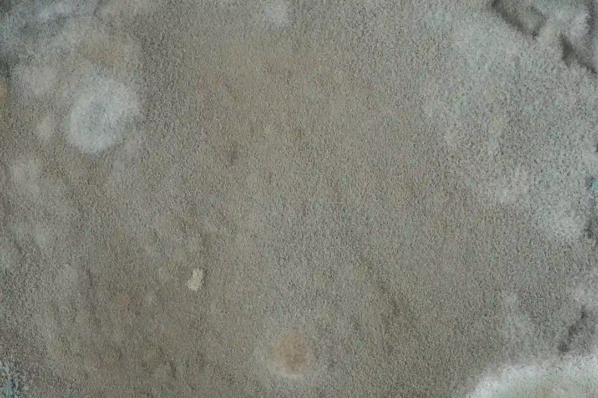 What causes white mould on walls & how to get rid of it