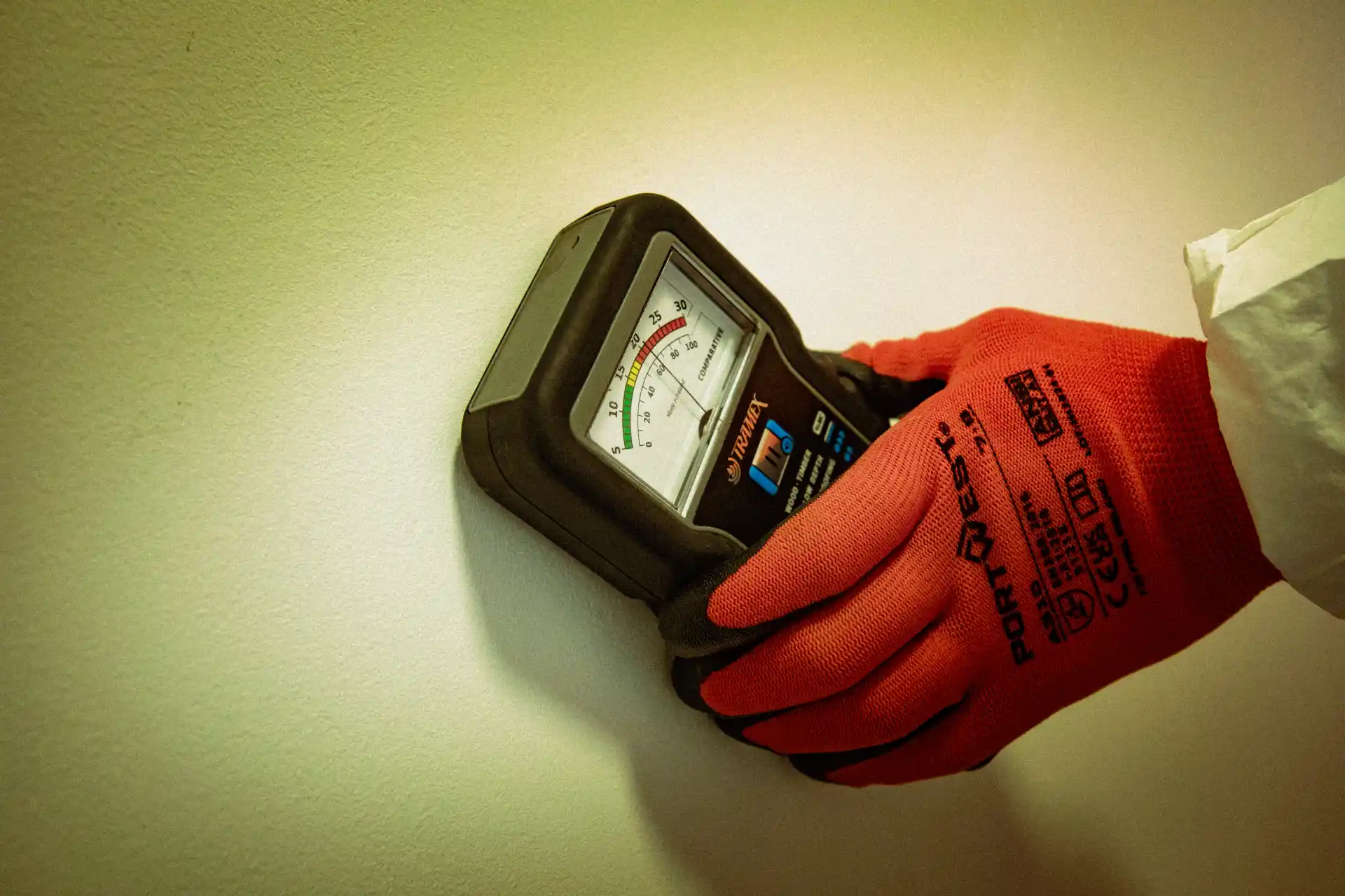 What does a damp survey involve?
